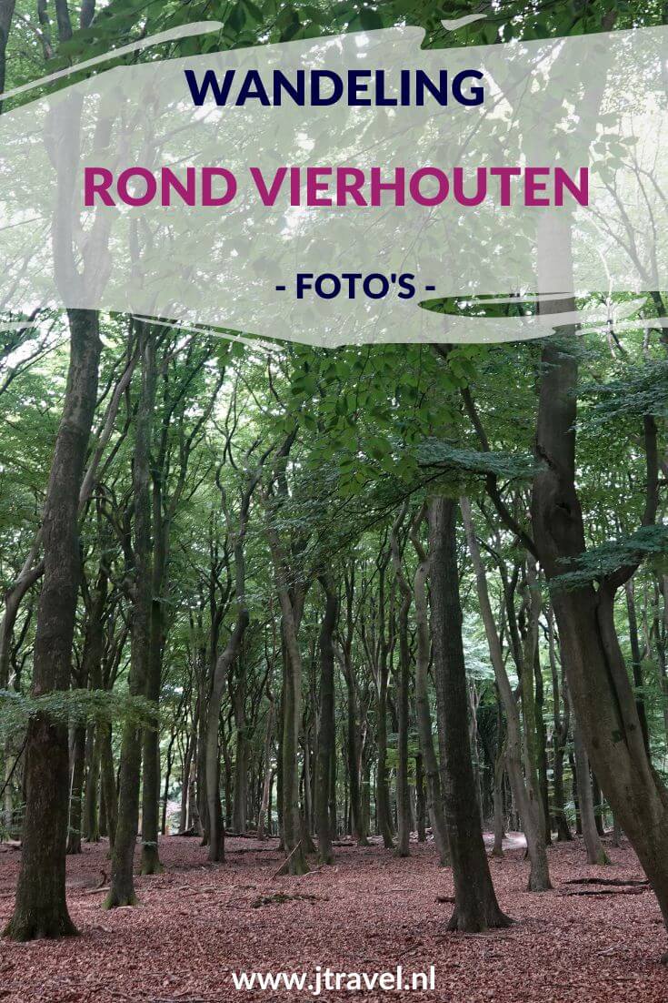 Ik maakte een wandeling rond Vierhouten vanuit het centrum van Vierhouten, door het Vierhouterbos naar Elspeet en via de Elspeetse Heide terug naar Vierhouten. Een mooie wandeling over de Veluwe door een oud bos en over uitgestrekte heidevelden. Mijn foto's zie je in dit artikel. #wandelen #groenewissel #vierhouten #jtravelblog #jtravel #fotos