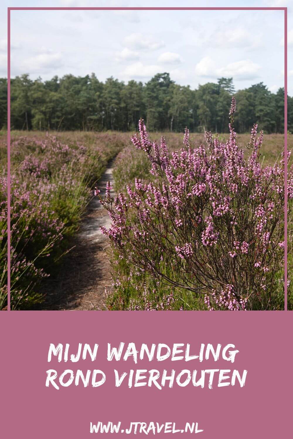 Ik maakte een wandeling rond Vierhouten vanuit het centrum van Vierhouten, door het Vierhouterbos naar Elspeet en via de Elspeetse Heide terug naar Vierhouten. Een mooie wandeling over de Veluwe door een oud bos en over uitgestrekte heidevelden. #wandelen #groenewissel #vierhouten #jtravelblog #jtravel