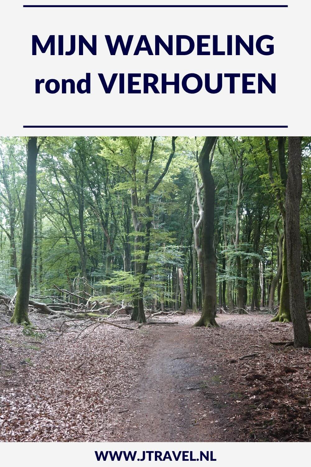 Ik maakte een wandeling rond Vierhouten vanuit het centrum van Vierhouten, door het Vierhouterbos naar Elspeet en via de Elspeetse Heide terug naar Vierhouten. Een mooie wandeling over de Veluwe door een oud bos en over uitgestrekte heidevelden. #wandelen #groenewissel #vierhouten #jtravelblog #jtravel