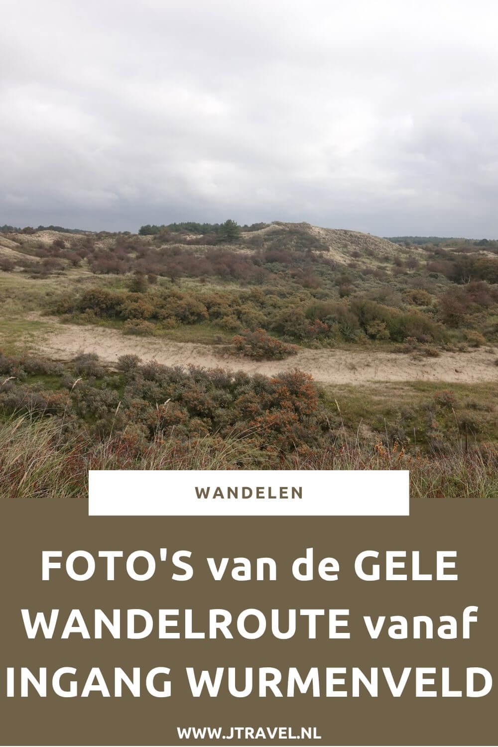 Ik liep de gele wandelroute vanaf ingang Wurmenveld in Nationaal Park Zuid-Kennemerland, op zoek naar wisenten, Deze wandeling maak ik aan de hand van de gele routepaaltjes op het Kraansvlak. Mijn foto's zie je in dit artikel. #nationaalparkzuidkennemerland #ingangwurmenveld #wandelen #jtravel #jtravelblog