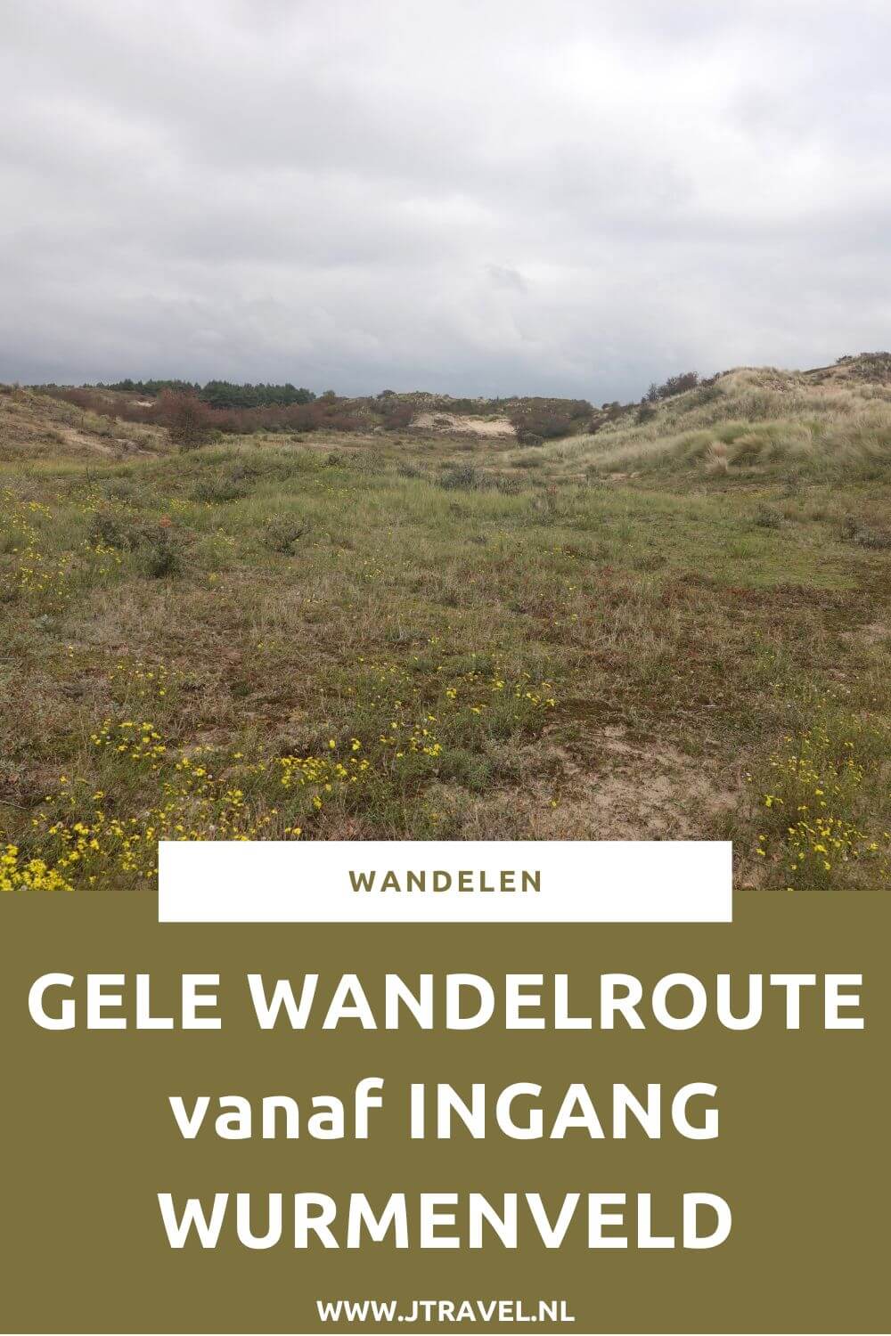 Ik liep de gele wandelroute vanaf ingang Wurmenveld in Nationaal Park Zuid-Kennemerland, op zoek naar wisenten, Deze wandeling maak ik aan de hand van de gele routepaaltjes op het Kraansvlak. Mijn route en de achtergronden lees je in dit artikel. #nationaalparkzuidkennemerland #ingangwurmenveld #wandelen #jtravel #jtravelblog