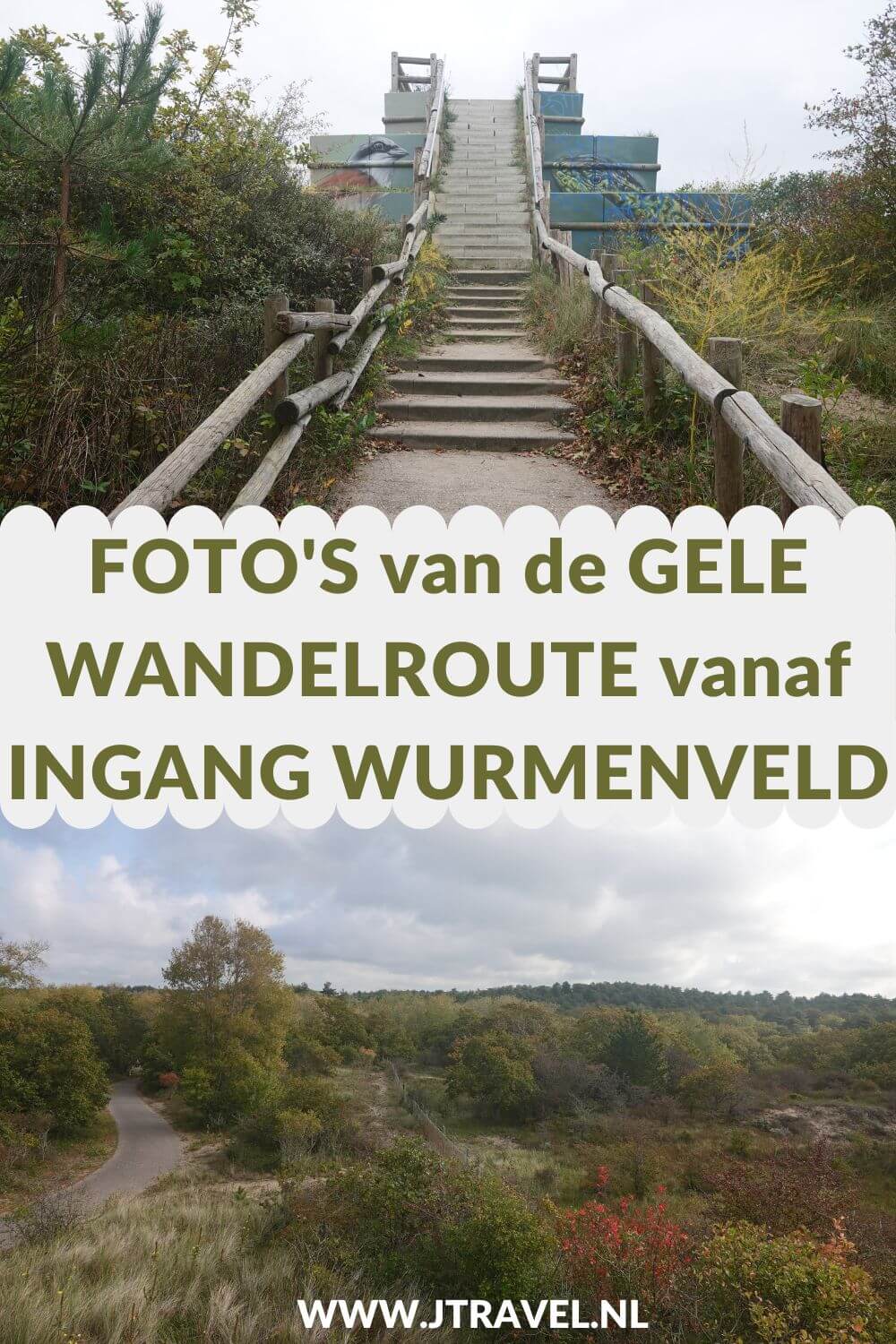 Ik liep de gele wandelroute vanaf ingang Wurmenveld in Nationaal Park Zuid-Kennemerland, op zoek naar wisenten, Deze wandeling maak ik aan de hand van de gele routepaaltjes op het Kraansvlak. Mijn foto's zie je in dit artikel. #nationaalparkzuidkennemerland #ingangwurmenveld #wandelen #jtravel #jtravelblog