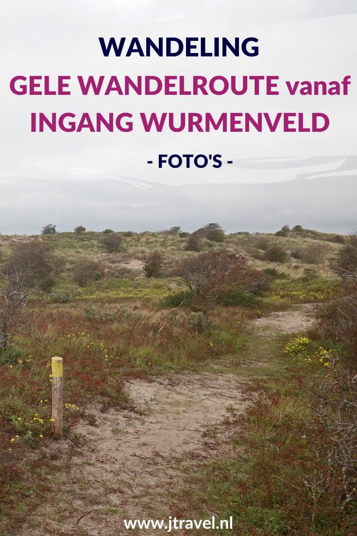 Ik liep de gele wandelroute vanaf ingang Wurmenveld in Nationaal Park Zuid-Kennemerland, op zoek naar wisenten, Deze wandeling maak ik aan de hand van de gele routepaaltjes op het Kraansvlak. Mijn foto's zie je in dit artikel. #nationaalparkzuidkennemerland #ingangwurmenveld #wandelen #jtravel #jtravelblog