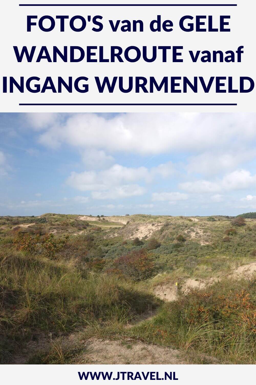 Ik liep de gele wandelroute vanaf ingang Wurmenveld in Nationaal Park Zuid-Kennemerland, op zoek naar wisenten, Deze wandeling maak ik aan de hand van de gele routepaaltjes op het Kraansvlak. Mijn foto's zie je in dit artikel. #nationaalparkzuidkennemerland #ingangwurmenveld #wandelen #jtravel #jtravelblog
