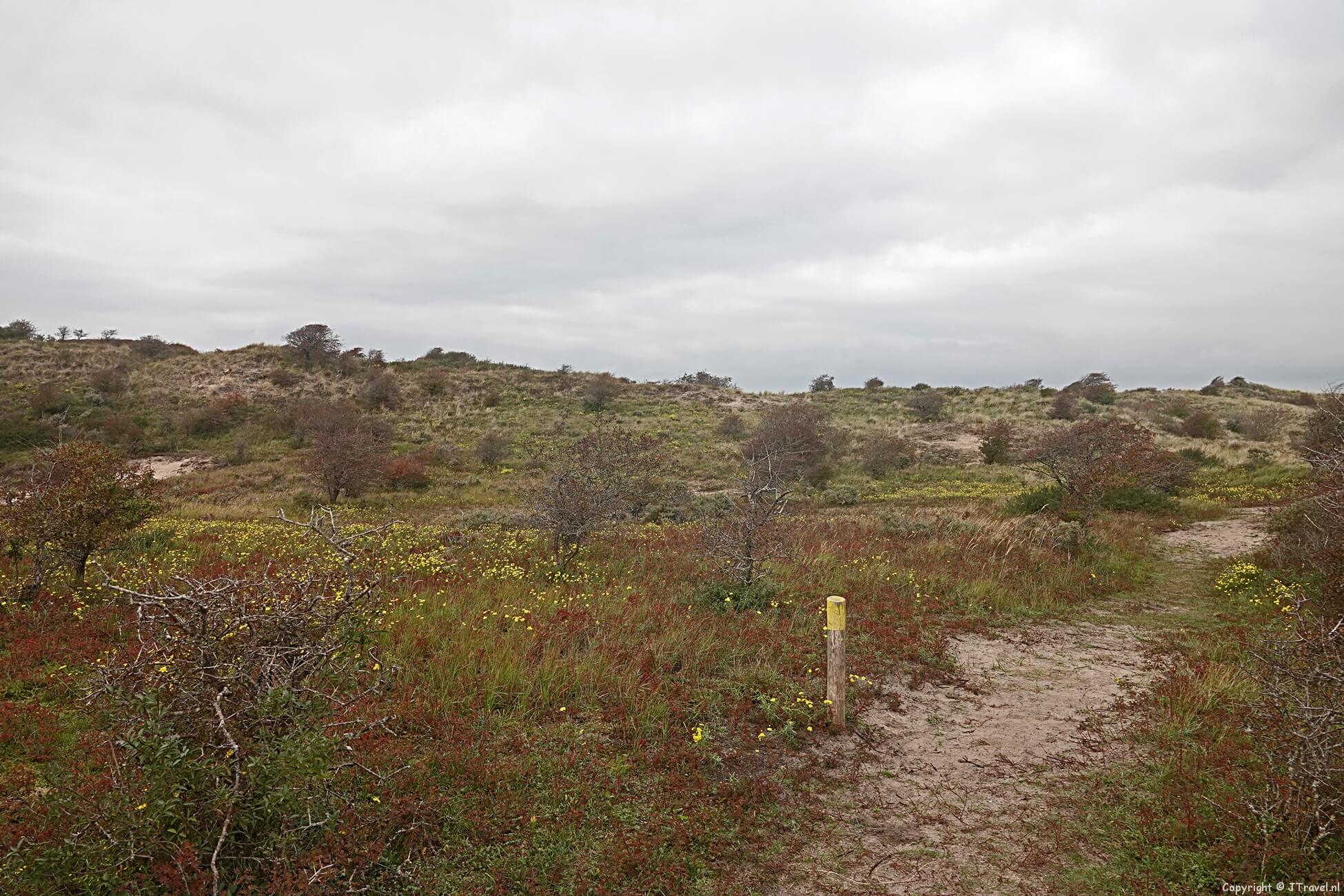 Foto's van de gele wandelroute vanaf ingang Wurmenveld in Nationaal Park Zuid-Kennemerland