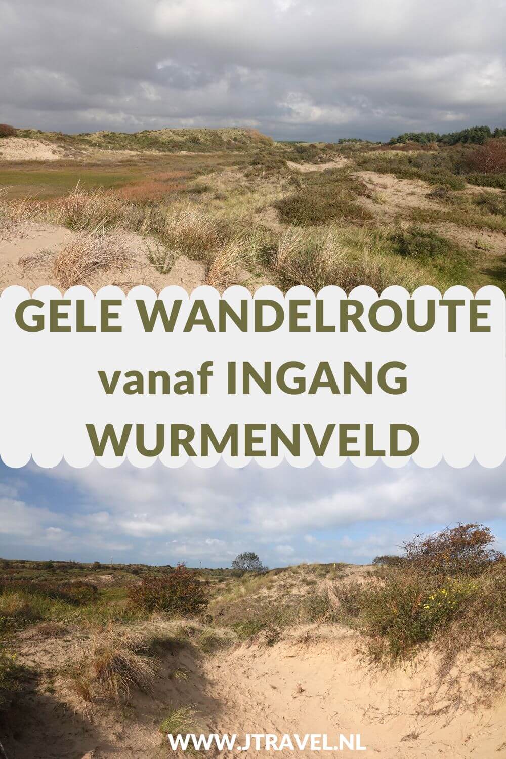 Ik liep de gele wandelroute vanaf ingang Wurmenveld in Nationaal Park Zuid-Kennemerland, op zoek naar wisenten, Deze wandeling maak ik aan de hand van de gele routepaaltjes op het Kraansvlak. Mijn route en de achtergronden lees je in dit artikel. #nationaalparkzuidkennemerland #ingangwurmenveld #wandelen #jtravel #jtravelblog