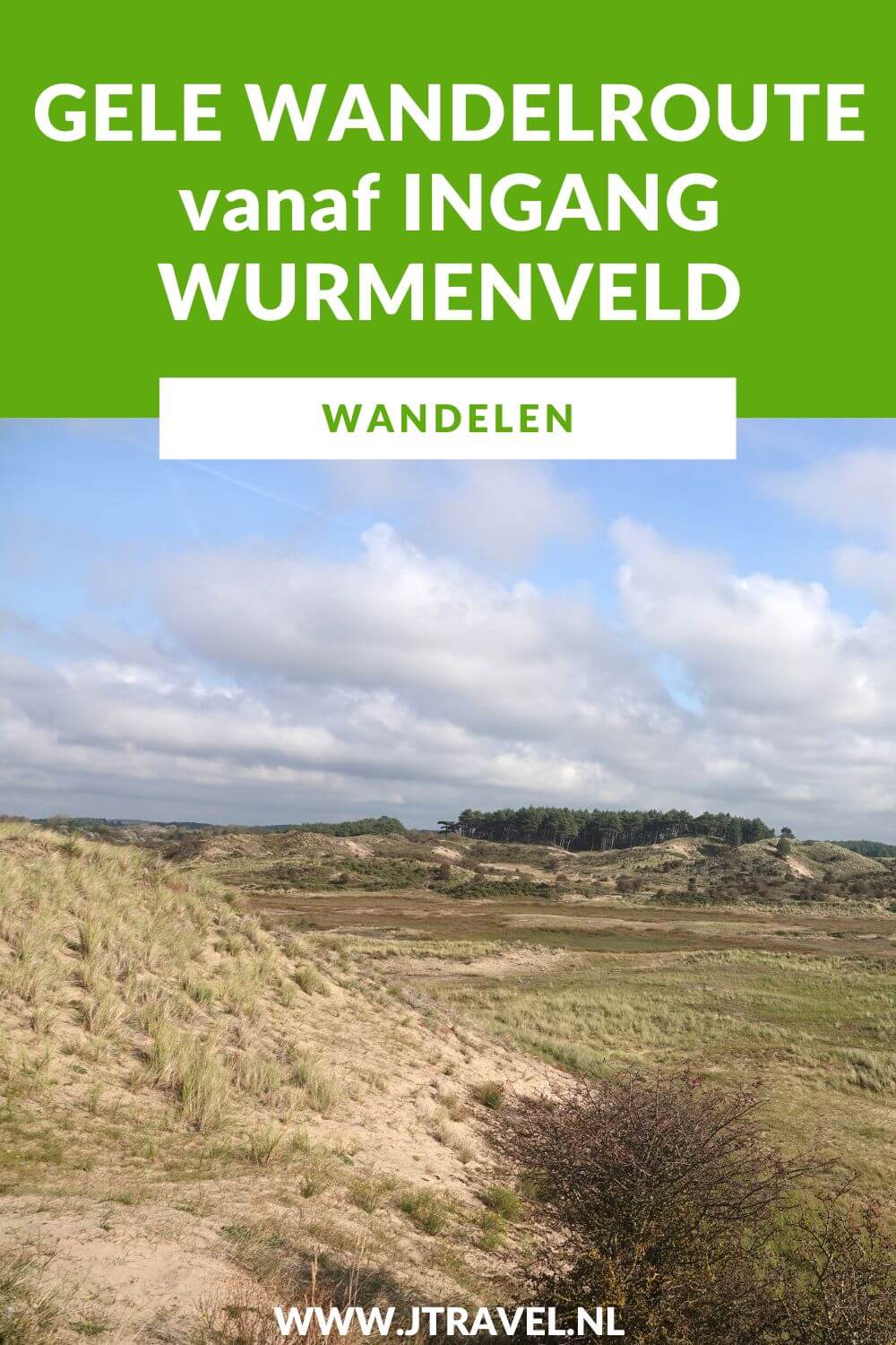 Ik liep de gele wandelroute vanaf ingang Wurmenveld in Nationaal Park Zuid-Kennemerland, op zoek naar wisenten, Deze wandeling maak ik aan de hand van de gele routepaaltjes op het Kraansvlak. Mijn route en de achtergronden lees je in dit artikel. #nationaalparkzuidkennemerland #ingangwurmenveld #wandelen #jtravel #jtravelblog