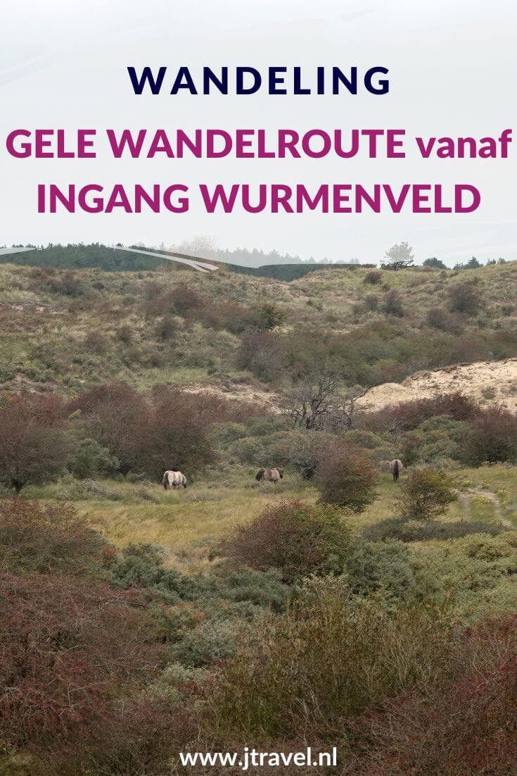 Ik liep de gele wandelroute vanaf ingang Wurmenveld in Nationaal Park Zuid-Kennemerland, op zoek naar wisenten, Deze wandeling maak ik aan de hand van de gele routepaaltjes op het Kraansvlak. Mijn route en de achtergronden lees je in dit artikel. #nationaalparkzuidkennemerland #ingangwurmenveld #wandelen #jtravel #jtravelblog