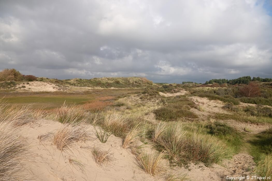 De gele wandelroute vanaf ingang Wurmenveld in Nationaal Park Zuid-Kennemerland
