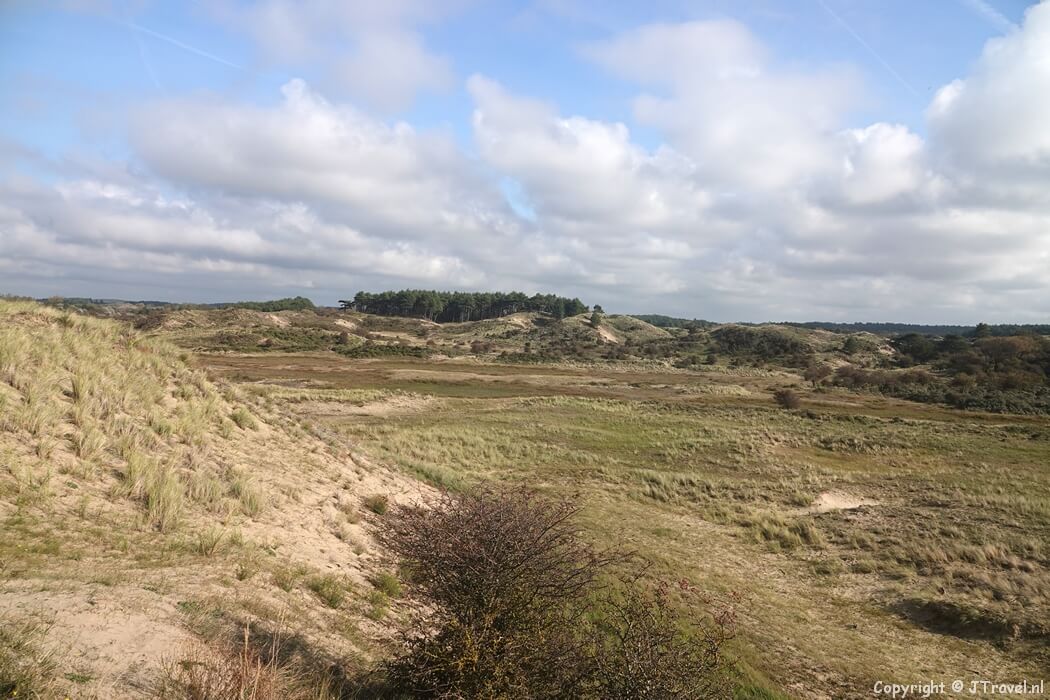 De gele wandelroute vanaf ingang Wurmenveld in Nationaal Park Zuid-Kennemerland
