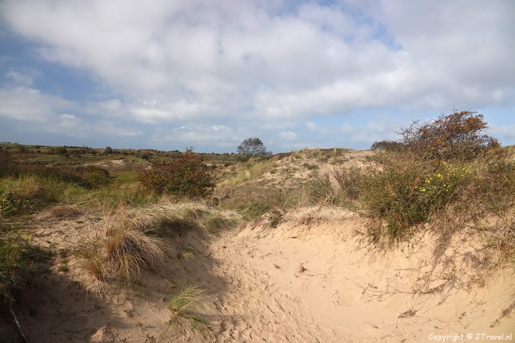 De gele wandelroute vanaf ingang Wurmenveld in Nationaal Park Zuid-Kennemerland