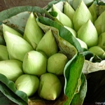 Lotusbloemen op de Bloemenmarkt Pak Khlong Talat in Bangkok<br/>Copyright © JTravel.nl Lotusbloemen op de Bloemenmarkt Pak Khlong Talat in Bangkok / Copyright © JTravel.nl