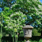 In de Hortus Haren<br/>Copyright © JTravel.nl In de Hortus Haren / Copyright © JTravel.nl