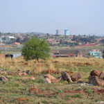 Soweto / Copyright ยฉ JTravel.nl Soweto / Copyright ยฉ JTravel.nl