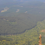 God's Window aan de Panoramaroute<br/>Copyright © JTravel.nl God's Window aan de Panoramaroute / Copyright © JTravel.nl