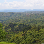 Uitzicht in PheZulu Village over de Vallei van 1.000 heuvels<br/>Copyright © JTravel.nl Uitzicht in PheZulu Village over de Vallei van 1.000 heuvels / Copyright © JTravel.nl