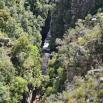 Uitzicht vanaf de Paul Sauerbridge nabij het Tsitsikamma National Park<br/>Copyright © JTravel.nl Uitzicht vanaf de Paul Sauerbridge nabij het Tsitsikamma National Park / Copyright © JTravel.nl