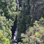 Uitzicht vanaf de Paul Sauerbridge nabij het Tsitsikamma National Park<br/>Copyright © JTravel.nl Uitzicht vanaf de Paul Sauerbridge nabij het Tsitsikamma National Park / Copyright © JTravel.nl