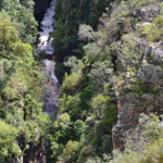 Uitzicht vanaf de Paul Sauerbridge nabij het Tsitsikamma National Park<br/>Copyright © JTravel.nl Uitzicht vanaf de Paul Sauerbridge nabij het Tsitsikamma National Park / Copyright © JTravel.nl
