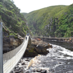 De hangbruggen in het Tsitsikamma National Park<br/>Copyright © JTravel.nl De hangbruggen in het Tsitsikamma National Park / Copyright © JTravel.nl