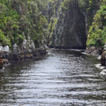 Uitzicht vanaf de hangbruggen in het Tsitsikamma National Park<br/>Copyright © JTravel.nl Uitzicht vanaf de hangbruggen in het Tsitsikamma National Park / Copyright © JTravel.nl