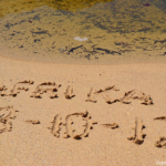 Ik was 18-10-2012 in het Tsitsikamma National Park<br/>Copyright © JTravel.nl Ik was 18-10-2012 in het Tsitsikamma National Park / Copyright © JTravel.nl