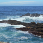 De zee bij de parkeerplaats bij het Tsitsikamma National Park<br/>Copyright © JTravel.nl De zee bij de parkeerplaats bij het Tsitsikamma National Park / Copyright © JTravel.nl
