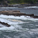 Hermanus<br/>Copyright © JTravel.nl Hermanus / Copyright © JTravel.nl