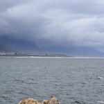 Walvis gespot in Hermanus<br/>Copyright © JTravel.nl Walvis gespot in Hermanus / Copyright © JTravel.nl