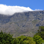 Uitzicht op de Tafelberg vanuit de Company's Garden in Kaapstad<br/>Copyright © JTravel.nl Uitzicht op de Tafelberg vanuit de Company's Garden in Kaapstad / Copyright © JTravel.nl