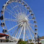 In Waterfront in Kaapstad<br/>Copyright © JTravel.nl In Waterfront in Kaapstad / Copyright © JTravel.nl