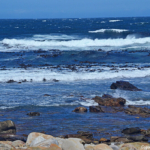De zee bij Kaap de Goede Hoop<br/>Copyright © JTravel.nl De zee bij Kaap de Goede Hoop / Copyright © JTravel.nl