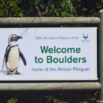 Boulders Beach<br/>Copyright © JTravel.nl Boulders Beach / Copyright © JTravel.nl