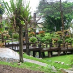 Mae Fah Luang tuin op de Doi Tung berg bij Chiang Rai / Copyright © JTravel.nl Mae Fah Luang tuin op de Doi Tung berg bij Chiang Rai / Copyright © JTravel.nl