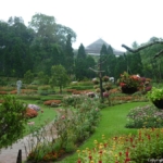 Mae Fah Luang tuin op de Doi Tung berg bij Chiang Rai<br/>Copyright © JTravel.nl Mae Fah Luang tuin op de Doi Tung berg bij Chiang Rai / Copyright © JTravel.nl