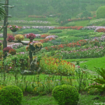 Mae Fah Luang tuin op de Doi Tung berg bij Chiang Rai<br/>Copyright © JTravel.nl Mae Fah Luang tuin op de Doi Tung berg bij Chiang Rai / Copyright © JTravel.nl