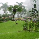 Mae Fah Luang tuin op de Doi Tung berg bij Chiang Rai<br/>Copyright © JTravel.nl Mae Fah Luang tuin op de Doi Tung berg bij Chiang Rai / Copyright © JTravel.nl