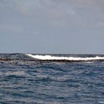 Op weg naar Duikereiland<br/>Copyright © JTravel.nl Op weg naar Duikereiland / Copyright © JTravel.nl