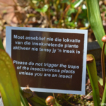 Een tekst bij de vleesetende planten in de Botanische Tuin van Stellenbosch / Copyright © JTravel.nl