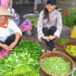 Groenteverkoopsters op een lokale markt niet ver van Vinh op 10-9-2013<br/>Copyright © JTravel.nl Groenteverkoopsters op een lokale markt niet ver van Vinh op 10-9-2013 / Copyright © JTravel.nl