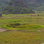 Bomkraters nabij de Phong Nha grotten<br/>Copyright © JTravel.nl Bomkraters nabij de Phong Nha grotten / Copyright © JTravel.nl