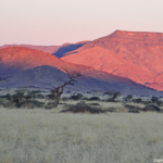 De omgeving tijdens de zonsondergang tijdens de sundowner op de Little Sossus Campsite<br/>Copyright © JTravel.nl De omgeving tijdens de zonsondergang tijdens de sundowner op de Little Sossus Campsite / Copyright © JTravel.nl