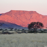 De omgeving tijdens de zonsondergang tijdens de sundowner op de Little Sossus Campsite<br/>Copyright © JTravel.nl De omgeving tijdens de zonsondergang tijdens de sundowner op de Little Sossus Campsite / Copyright © JTravel.nl