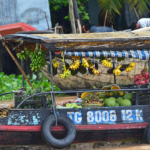 Langs de Mekong Rivier tijdens de boottocht / Copyright © JTravel.nl