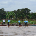 De dames met de sampans in de Mekong Delta / Copyright © JTravel.nl
