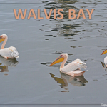 De boottocht in Walvis Bay<br/>Copyright © JTravel.nl De boottocht in Walvis Bay / Copyright © JTravel.nl