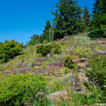 Rotstuin in Hortus Haren Rotstuin in Hortus Haren