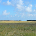 De Slufter<br/>Copyright © JTravel.nl De Slufter / Copyright © JTravel.nl