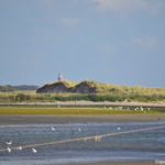 De Slufter<br/>Copyright © JTravel.nl De Slufter / Copyright © JTravel.nl