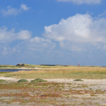 De Slufter<br/>Copyright © JTravel.nl De Slufter / Copyright © JTravel.nl